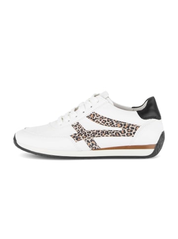 Gabor Sneaker low in multicolour