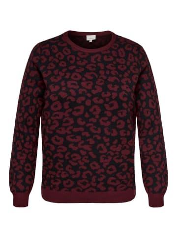 ONLY Carmakoma Strickpullover in Cabernet