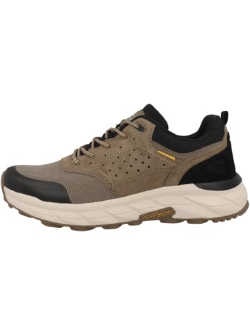 Camel Active Sneaker low 54CCA09 in braun