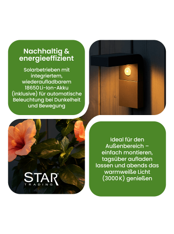 STAR Trading LED Solar-Wandleuchte ,Vici', Bewegungsmelder, Dämmerungssensor, Dauer