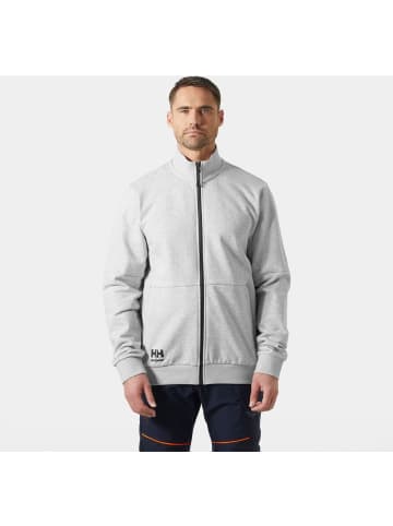 Helly Hansen Pullover "Evo Zip Sweatshirt" in Grau