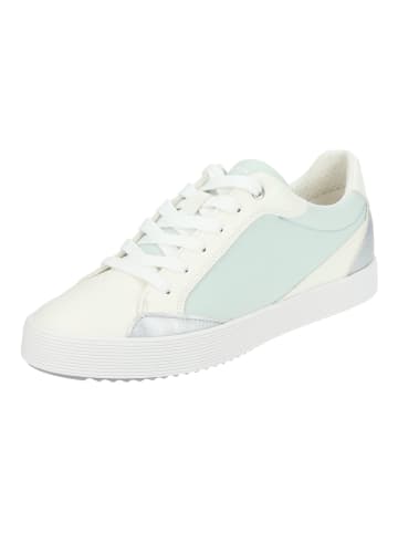 Geox Sneaker in Blau/Weiß