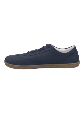 Josef Seibel Sneaker in blau