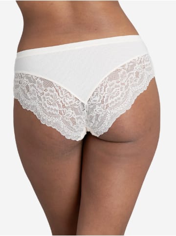 SugarShape Panty Ivy in powder