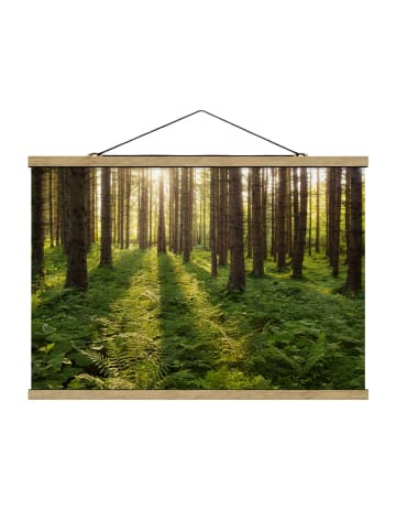 WALLART Stoffbild mit Posterleisten - Sonnenstrahlen in grünem Wald in Grün
