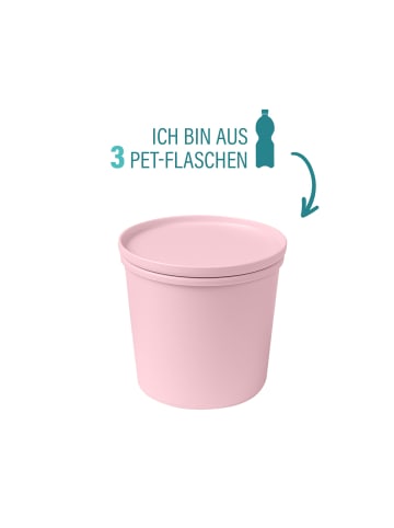 AWAVE Frischhaltedose aus rPET in Rosé | 0,5l
