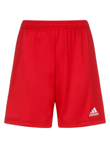 adidas Performance Trainingsshorts Entrada 22 in rot