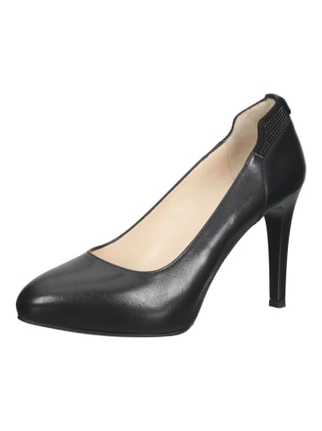 Nero Giardini Pumps in Schwarz