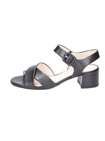 Gabor Comfort Pantolette in schwarz