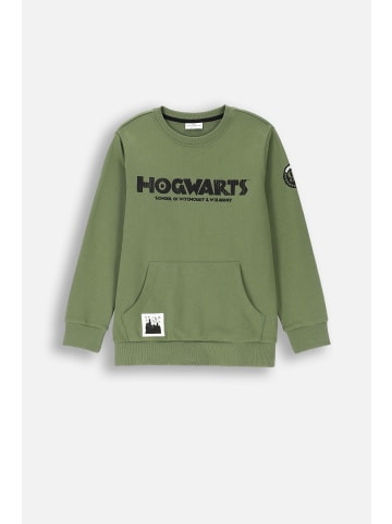 Coccodrillo Sweatshirt in grün