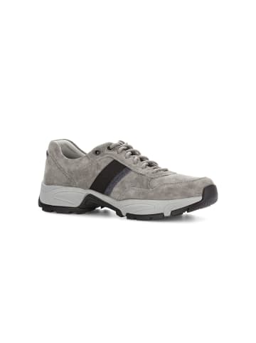 Gabor Sneaker low in grau