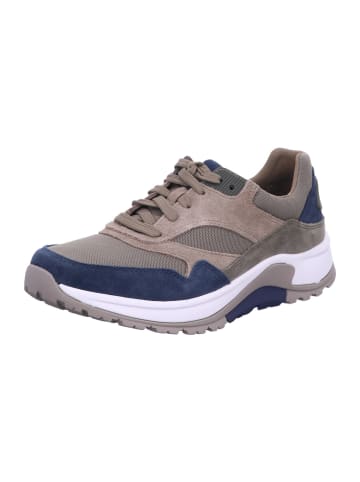 Pius Gabor Sneaker in braun