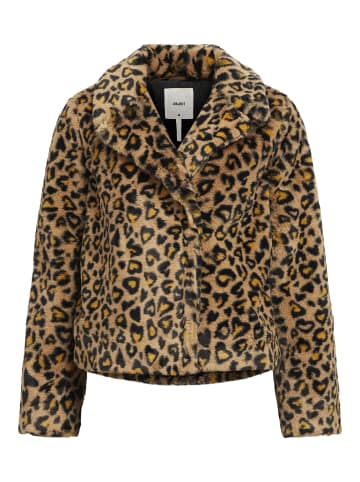 Object Jacke in Humus