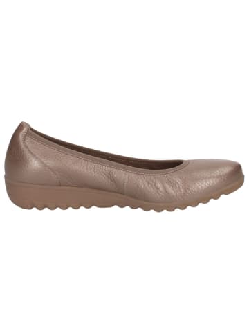 Caprice Ballerina in TITAN DEER