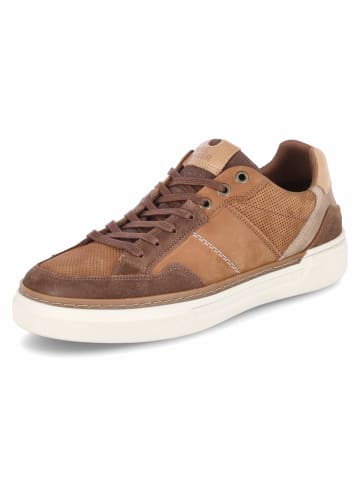 Bullboxer Low Sneaker in braun