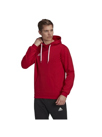 adidas Performance adidas Entrada 22 Sweat Hoodie in Rot