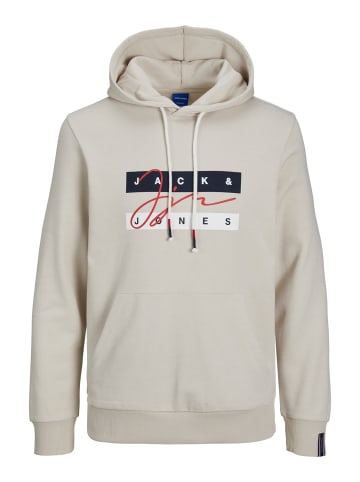 Jack & Jones Sweatshirt JORJOSH in Beige