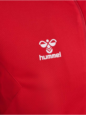 Hummel Hummel Reißverschluss Jacke Hmlauthentic Multisport Herren in TRUE RED