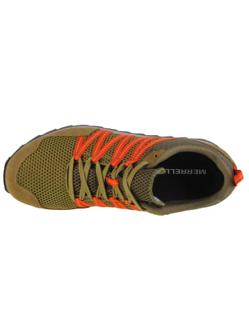 Merrell Merrell Alpine Sneaker in Grün