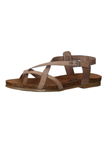 Cosmos Comfort Sandalen in Taupe