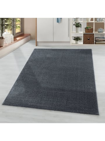 Kurzflor Teppich Roberto in Grau