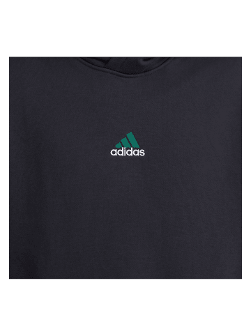 adidas Originals Hoodie JY2798 Mehrfarbig
