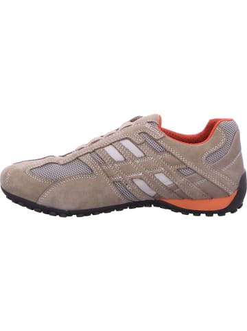 Geox Slipper in beige