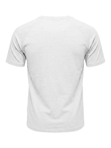 DEF T-Shirt in grey
