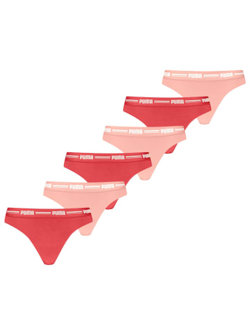 Puma 6er Pack Every Day Strings in Koralle