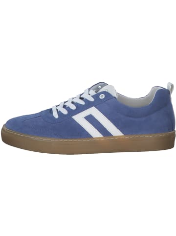 palado Sneakers Low in blue cobalto/white