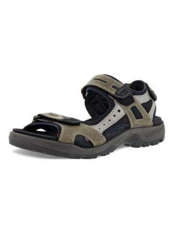 Ecco Sandalen in Grün