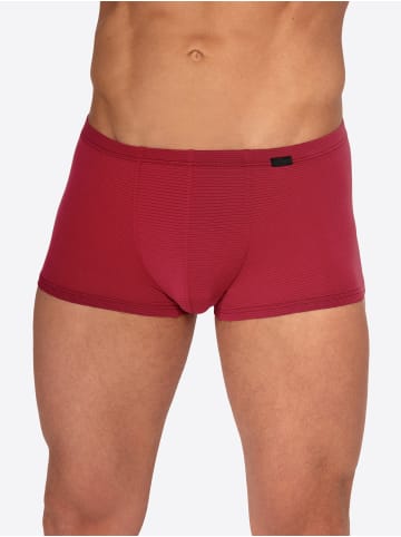 Olaf Benz Boxer RED2555 Minipants in berry