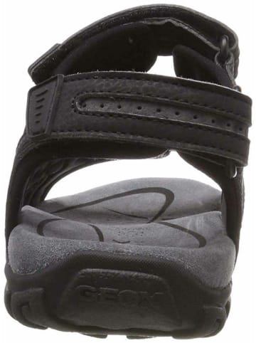 Geox Sportliche Sandalen für Herren in schwarz