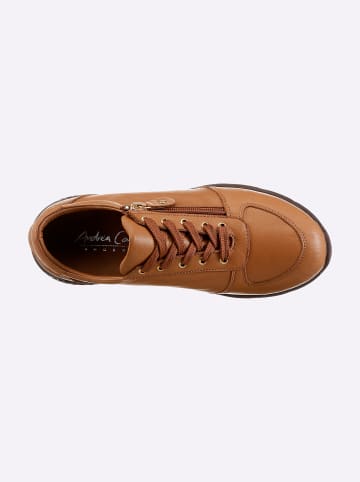 Andrea Conti Schnürschuh in cognac