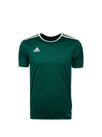 adidas Performance Fußballtrikot Entrada 18 in dunkelgrün / weiß