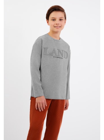 Gulliver Langarmshirt in Grau