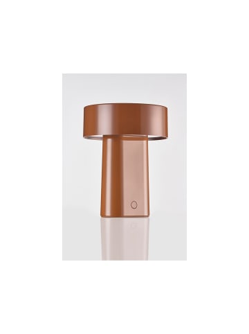 Zone Denmark Lampe Oblong in Maple