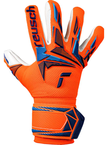Reusch Torwarthandschuhe Attrakt Freegel Advance Junior in 2290 shocking orange/blue