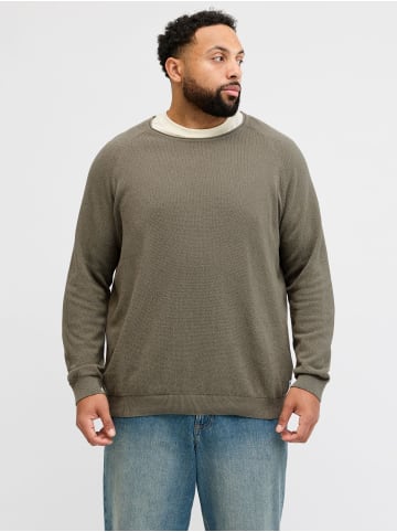 JACK & JONES PLUS Strickpullover in Vetiver