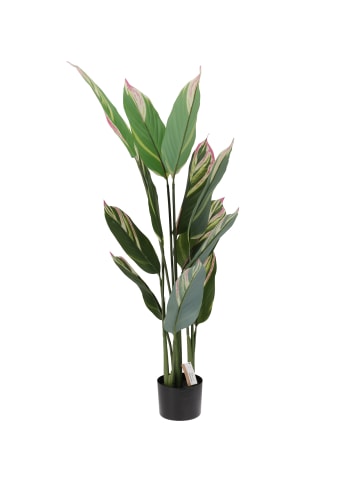Home&Styling Collection Künstliche Topfpflanze in grün