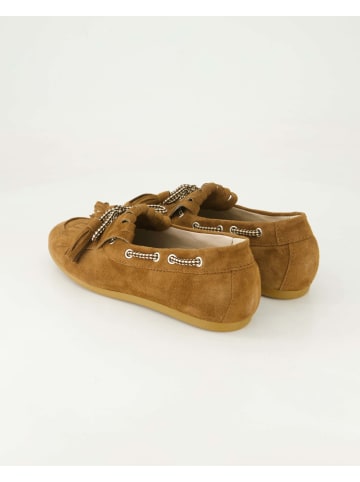 Terry Slipper in Braun