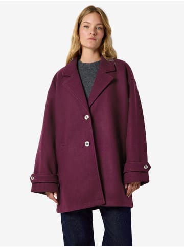 Noisy may Jacke in Fig1