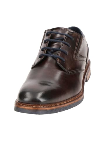 Bugatti Elegante Schnürschuhe in Braun