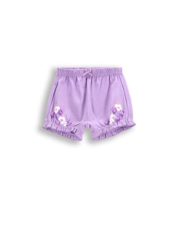 Coccodrillo Kurze Hosen in violett