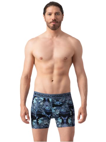 Muchachomalo 2er-Set: Boxershorts in Multicolor/Blue