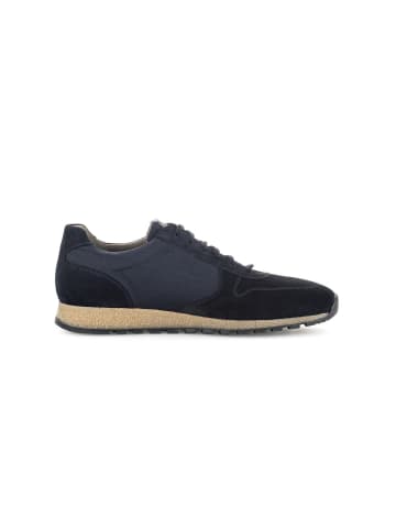 Pius Gabor Sneaker low in blau