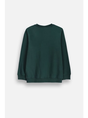 Coccodrillo Langarmshirt in grün