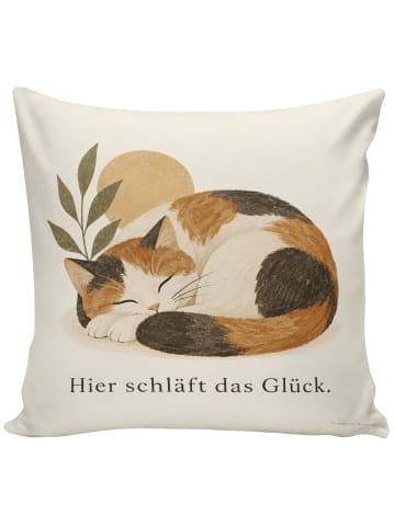 Mr. & Mrs. Panda Kissen 40x40 Katze Ruhig Design mit Spruch in Weiß