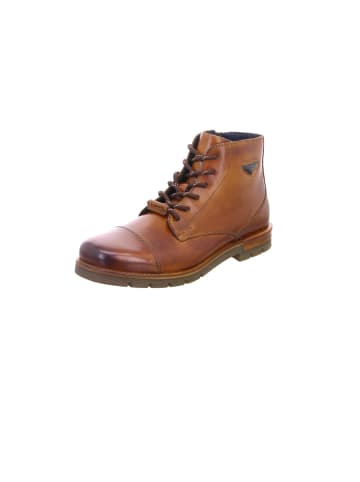 Bugatti Stiefeletten für Herren in braun in braun