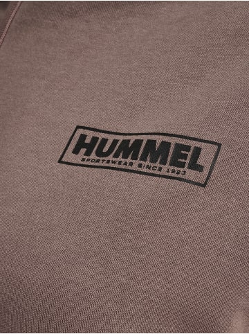 Hummel Hoodie Hmllegacy Regular Hoodie Plus in IRON